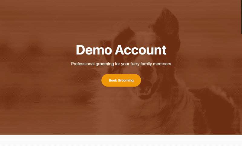 Pet Grooming template